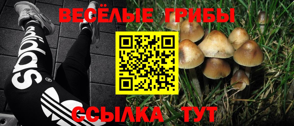 Галлюциногенные грибы MAGIC MUSHROOMS  Псилоцибиновые грибы MAGIC MUSHROOMS  Карасук  Вход с VPN 